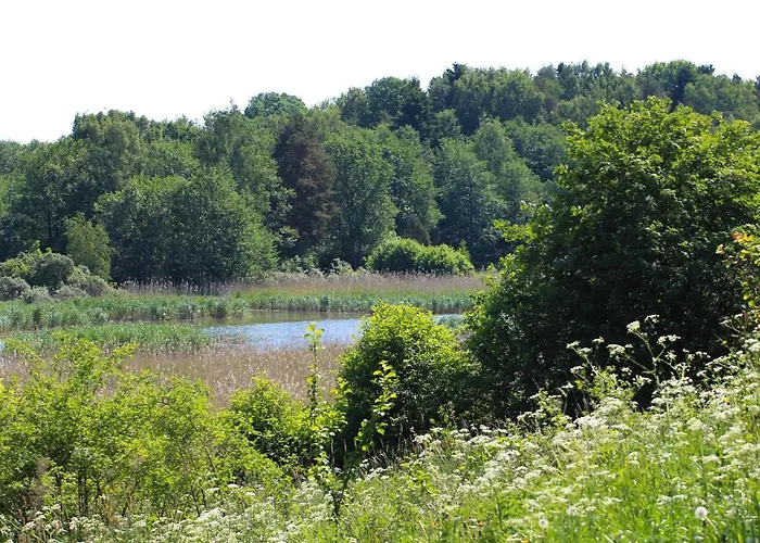 Couette-café Brobacka Gasthem